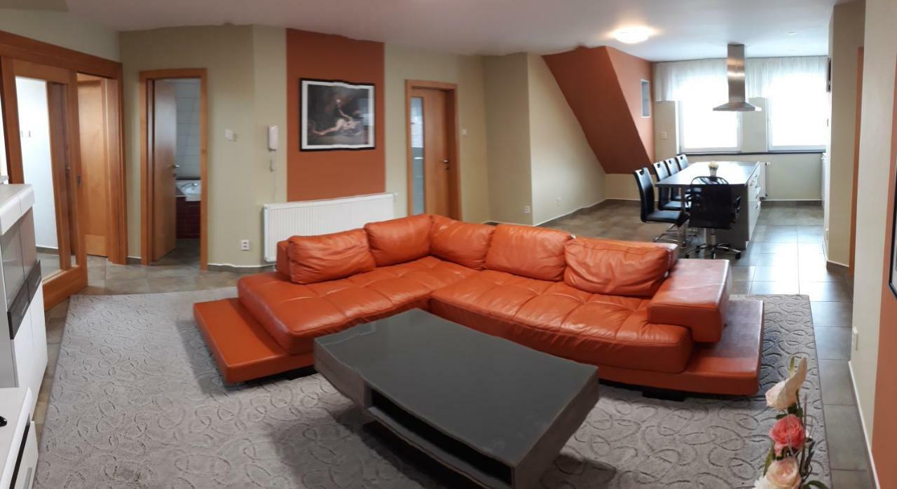 Apartment Lidicka